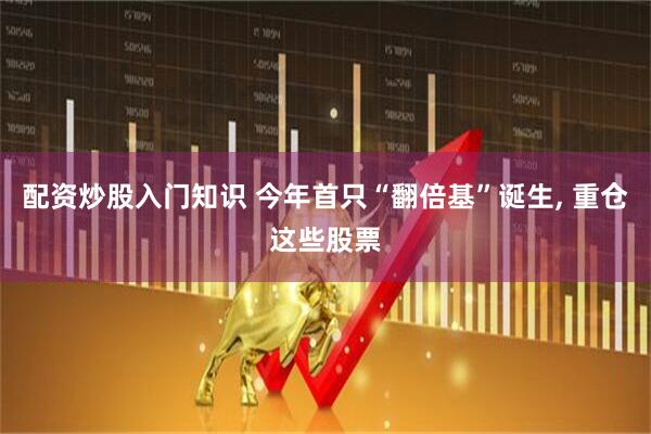 配资炒股入门知识 今年首只“翻倍基”诞生, 重仓这些股票